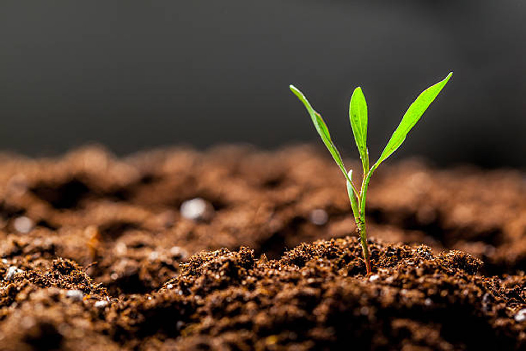 दो से तीन सेमी उपजाऊ मिट्टी बनने में करीब 1,000 साल लगते हैं, इसलिए मिट्टी का नुकसान बेहद गंभीर खतरा है।