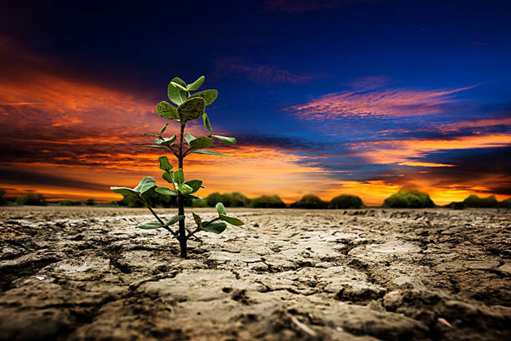 ऐसे अध्ययन भविष्य में प्रकृति और जलवायु के बीच जटिल संबंधों को समझने के नए रास्ते खोलते हैं।