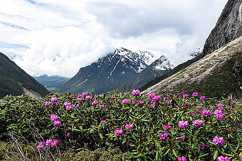 उत्तराखंड में शुष्क ठंड, हिमाचल के ऊंचे इलाकों में हल्की बर्फबारी, कई इलाकों में तापमान शून्य से नीचे लुढ़का।