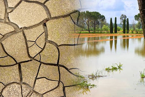 2011-2012 के आसपास दुनिया में बदलाव आया, पहले गीली परिस्थितियां अधिक थी, अब सूखे की घटनाएं अधिक होने लगीं।