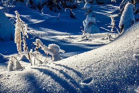 उत्तराखंड के कुछ क्षेत्रों में पाला पड़ने का अंदेशा जताया गया है, जिससे फसलों को नुकसान हो सकता है। किसानों को इस दौरान सावधानी बरतने की सलाह दी गई है।