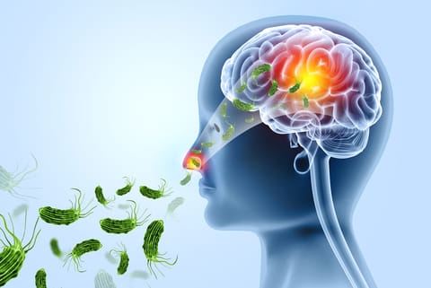 'ब्रेन ईटिंग अमीबा'; फोटो: आईस्टॉक