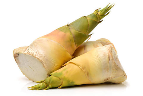 वैज्ञानिक अध्ययन बताते हैं कि बांस का सेवन रक्त शर्करा नियंत्रण और हृदय स्वास्थ्य सुधारने में सहायक हो सकता है।