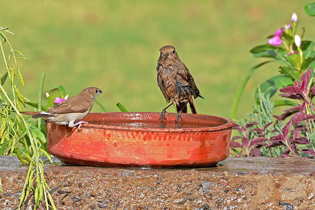 मार्च से मई 2026 के दौरान देश के अधिकतर इलाकों में अधिकतम तापमान के सामान्य से अधिक रहने के आसार।
