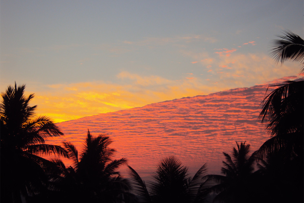 बढ़ते तापमान को देखते हुए किसानों को गेहूं, सरसों, चना और सब्जियों में हल्की सिंचाई और मिट्टी की नमी बनाए रखने की सलाह।
