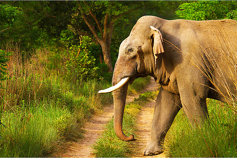 फोटो: आईस्टॉक