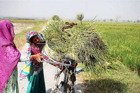धरती का बढ़ता बुखार: 2026 में दर्ज हुई इतिहास की पांचवीं सबसे गर्म फरवरी