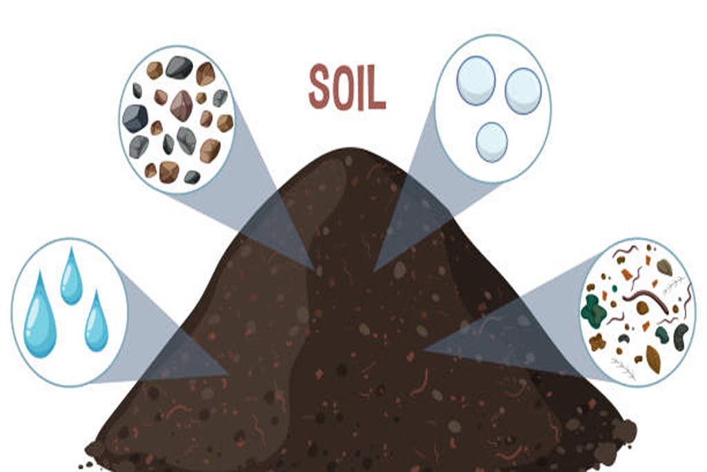 बढ़ते तापमान व सूखे के दौरान सूक्ष्मजीव पुराने और स्थिर कार्बन को भी तोड़ने लगते हैं, जिससे लंबे समय से सुरक्षित कार्बन भी बाहर निकल सकता है।