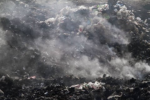 अध्ययन के अनुसार, 2021 में मीथेन उछाल का मुख्य कारण पशुपालन उत्सर्जन, साथ ही कचरा और प्राकृतिक आर्द्रभूमि भी जिम्मेदार रहे।