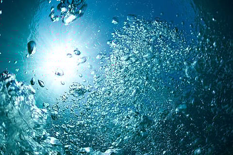 समुद्र का जैविक कार्बन पंप सतह से गहराई तक कार्बन ले जाकर वातावरण से कार्बन डाइऑक्साइड अवशोषण में मदद करता है।