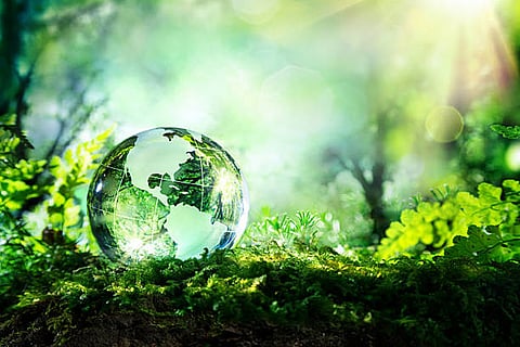 स्वस्थ पारिस्थितिकी तंत्र जीवन के लिए जरूरी है, इसलिए हमें मिलकर छोटे-छोटे प्रयासों से पृथ्वी को बचाने की जिम्मेदारी निभानी चाहिए।