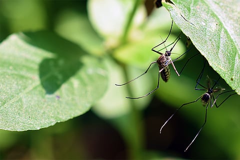 प्रतीकात्मक तस्वीर: आईस्टॉक