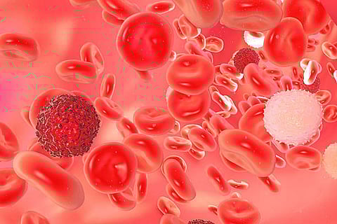 विटामिन बी7 पाइरुवेट कार्बॉक्सिलेज एंजाइम को सक्रिय कर कैंसर कोशिकाओं की ऊर्जा प्रक्रिया को जारी रखने में मदद करता है।