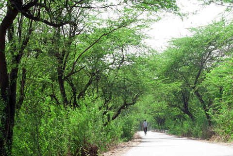 प्रतीकात्मक तस्वीर: आईस्टॉक