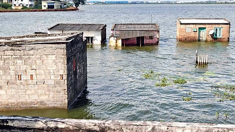 A view from the spot