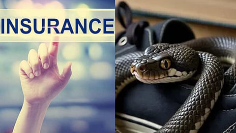 Tamil Nadu: Sons use snake to murder man for Rs 4.5 crore insurance