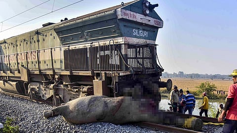 Eight elephants are killed after a herd is struck by the Sairang-New Delhi Rajdhani Express, in Nagaon district, Assam, Saturday, Dec. 20, 2025. 