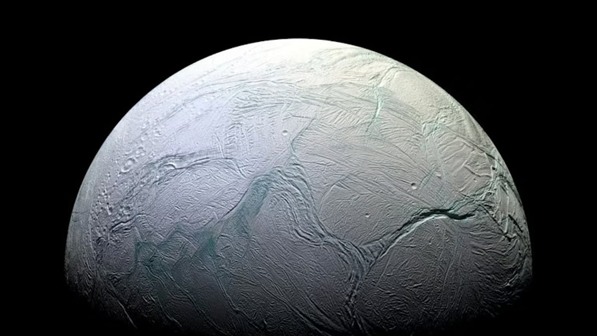 Enceladus' Ocean: Unpacking the Ingredients for Potential Life