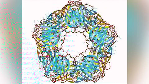 Representative Image