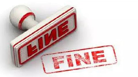 Fine (Representative image)