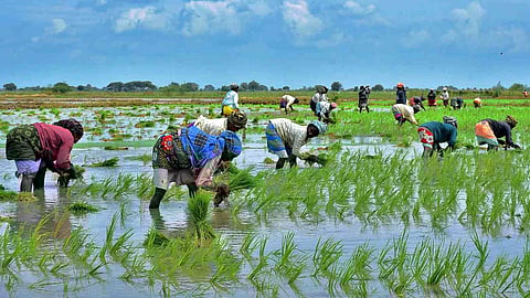 Tamil Nadu: Keep Mettur open till end of February, urge farmers
