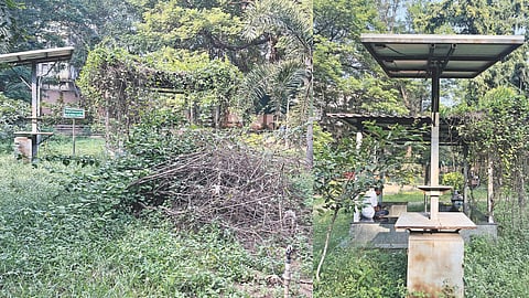 Overgrowth of weeds and damaged solar charging point at the park in CIT Nagar 3rd Main Road