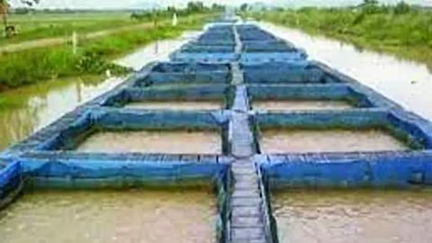 India's first commercial tropical trout farm to be inaugurated in Hyderabad on Monday