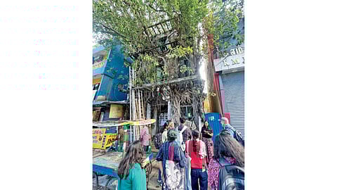 From one of the previous walks on labour and capitalism.