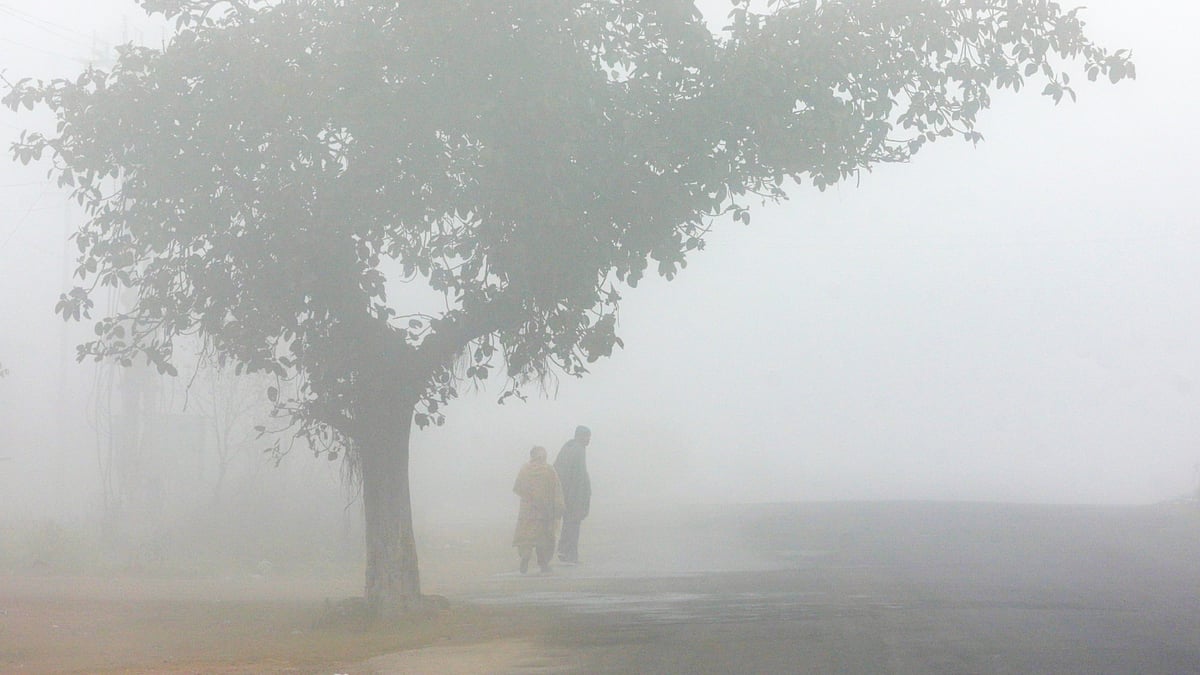 Early morning dense fog in north India kills 4 in vehicle collisions as ...
