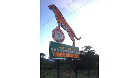 Sathyamanagalam Tiger Reserve