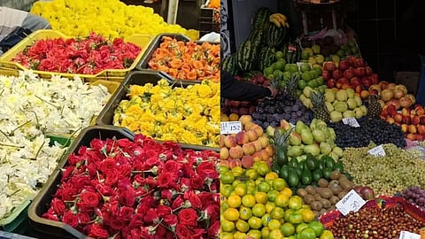 (L) Representative image of flowers, (R) Representative image of fruits
