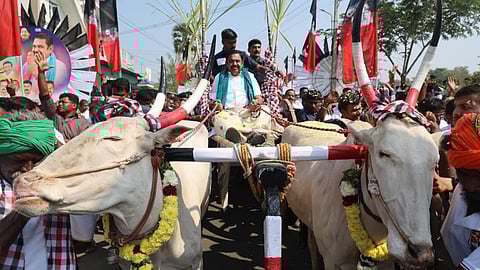 AIADMK general secretary Edappadi Palaniswami arriving for the Pongal celebrations on a bullock cart in Salem on Thursday