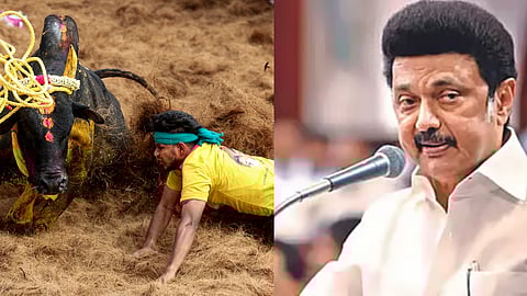 (L) Jallikattu event, (R) MK Stalin