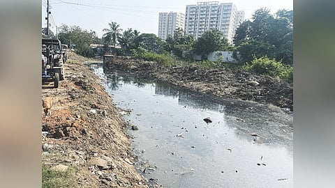 Sewage flowing into a canal along the Water Canal Link Road