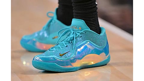 Tribute to civil rights icon: Nike evokes motel where Martin Luther Jr was killed
