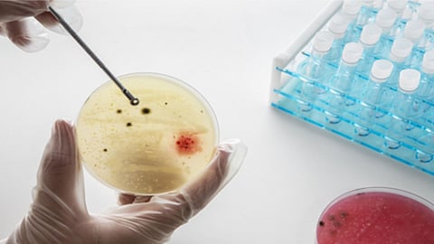 Representative image for diagnostics