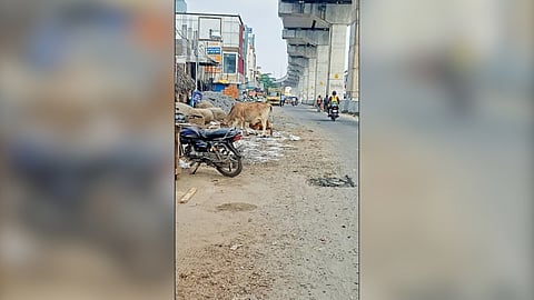 Encroachments along the
arterial stretch
