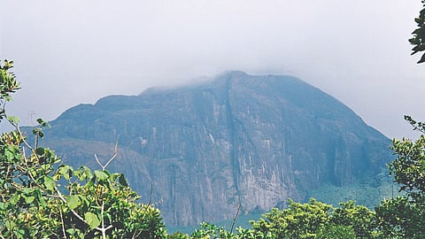 Pothigai Hills or Agasthiyar Malai along Tamil Nadu-Kerala border