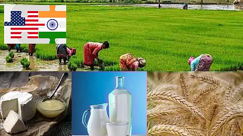 India has fully protected sensitive agricultural and dairy products