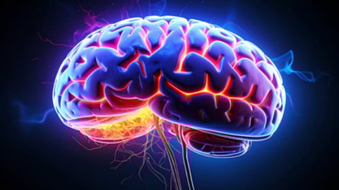 Long COVID and Alzheimer's might be driven by similar changes in the brain, says new study