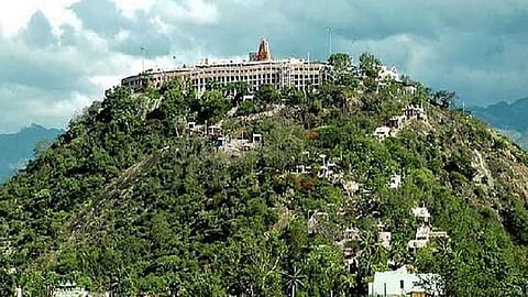 Palani Temple 