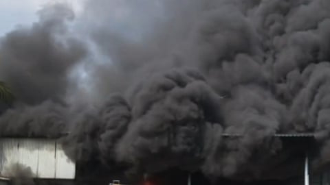 Visuals from the spot  