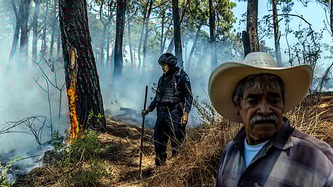 Mexico cartel assess