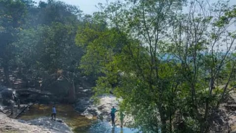 Jawadhu Hills. 
