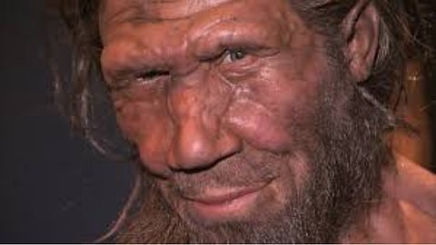 Genetic clues: Ancient pairing favoured human females and Neanderthal males