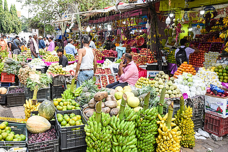 West Asia tensions halt Kerala's fruit, vegetable exports, Ramzan market impacted

