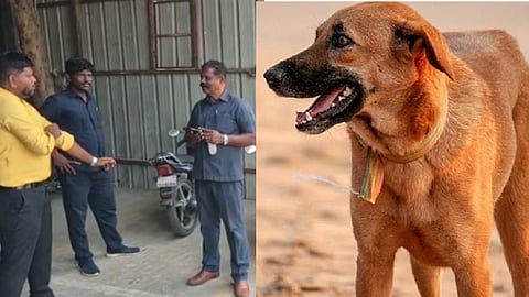 Puppy beaten to death on private college campus near Sriperumbudur