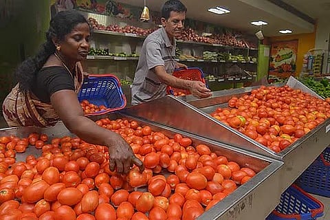 Representative Image for vegetables