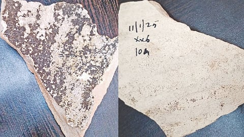 Torpedo jar pottery fragments discovered at Vijayakarisalkulam site