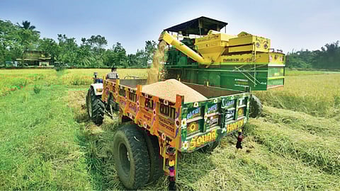 Samba harvest nearing completion at Orathanadu in Thanjavur